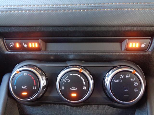 ＣＸ－３ １５Ｓ　ビビッド　モノトーン（30枚目）