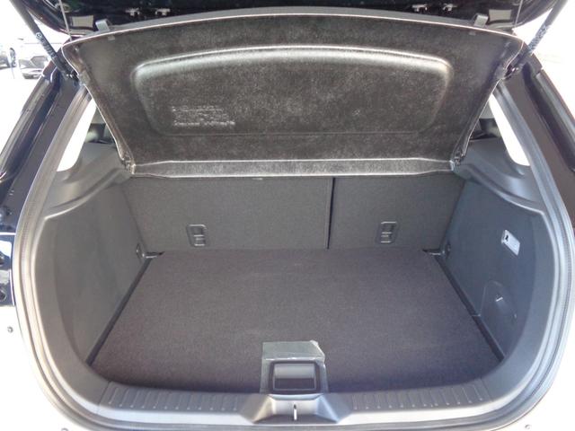 ＣＸ－３ １５Ｓ　ビビッド　モノトーン（53枚目）