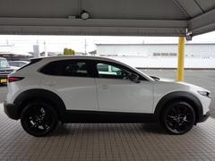 ãءݣ أġ֥å쥯 0401562A30251024W001 4