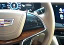 プラチナム　ディーラー車　ベージュ革　サンルーフ　ナビＴＶ　パナレイサウンド　リアエンター　ＨＤＭＩ　スマホミラーリング　アップルカープレイ　Ｂｌｕｅｔｏｏｔｈ　ブルーレイ　マッサージシート　ナイトビジョン（15枚目）
