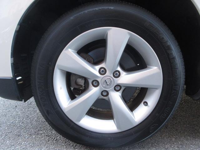 ���X�^�C���b�V���Ȍ����ڍ��ɍv�����鏃���P�W�C���`�A���~���������Ă��܂��I