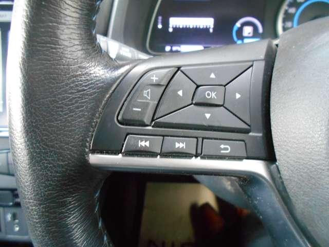 リーフ Ｘ　プロパイロット　ＬＥＤライト　レーンアシスト　ＬＥＤ　Ｂカメラ　イモビライザー　メモリーナビ　パワーウィンドウ　オートエアコン　Ｗエアバッグ　サイドエアバッグ　エアバッグ　ワンオーナー　ナビＴＶ　キーフリー　ＡＢＳ　ワンセグＴＶ（14枚目）