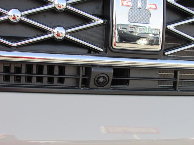 アルトラパン X(10枚目)