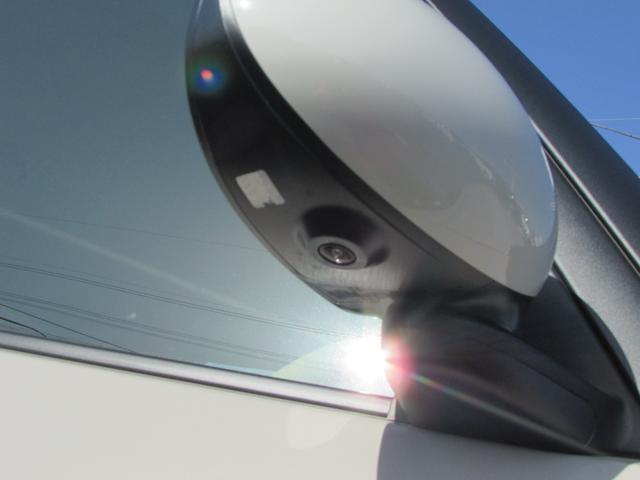 アルトラパン X(11枚目)