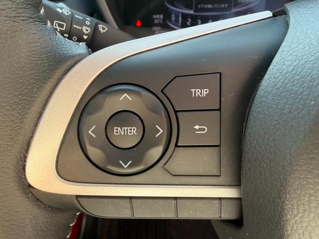 ライズ Ｚ　クルーズコントロール　レーンアシスト　ＬＥＤヘッドライト　ＥＴＣ　純正アルミ　スマートキー（35枚目）