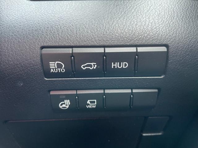 ＲＸ ＲＸ２００ｔ　バージョンＬ　ナビ　フルセグ　ブルーレイ　全方位カメラ　レーダークルーズ　ＨＵＤ　Ｐバックドア　全席電動／ヒーター　ベンチレーション　ＡＣ１００Ｖ　シーケンシャルウィンカー　ＥＴＣ２．０　ステアヒーター　トノカバー（10枚目）