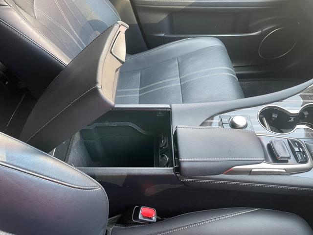 ＲＸ ＲＸ２００ｔ　バージョンＬ　ナビ　フルセグ　ブルーレイ　全方位カメラ　レーダークルーズ　ＨＵＤ　Ｐバックドア　全席電動／ヒーター　ベンチレーション　ＡＣ１００Ｖ　シーケンシャルウィンカー　ＥＴＣ２．０　ステアヒーター　トノカバー（30枚目）