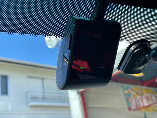 ������̎��ł��^�悵�Ă���h�����R�����I�h���C�u�ɂ͌������Ȃ������ł��ˁ�