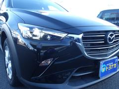 ̣ţĥإåɥס֤볦򤷤äݤޤΥɥ饤֤ΰ礭夷ޤ͡򤤸åǤ衪 6