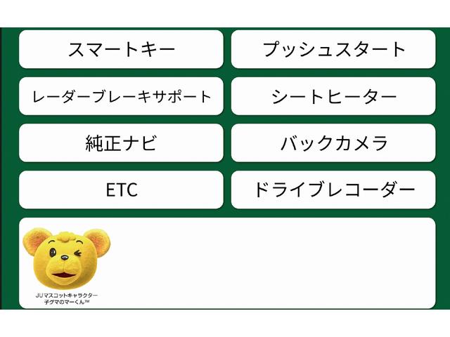 ハスラー G スマートキー・プッシュスタート・シートヒーター・レーダーブレーキサポート・純正ナビ・TV・バックカメラ・ETC(45枚目)