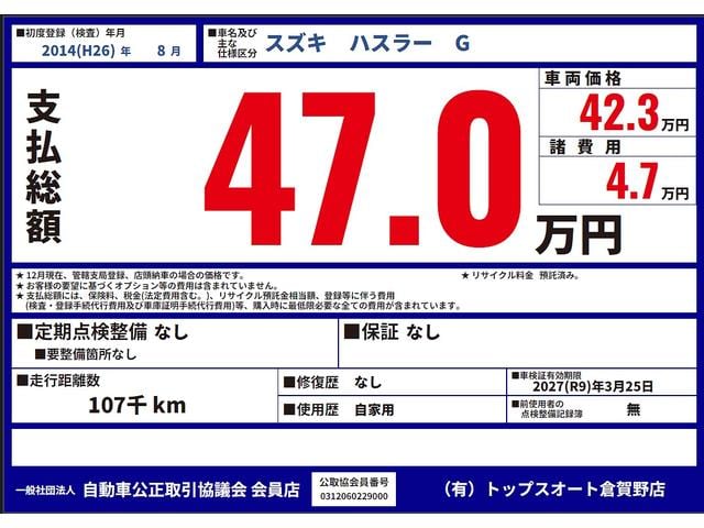 ハスラー G スマートキー・プッシュスタート・シートヒーター・レーダーブレーキサポート・純正ナビ・TV・バックカメラ・ETC(46枚目)