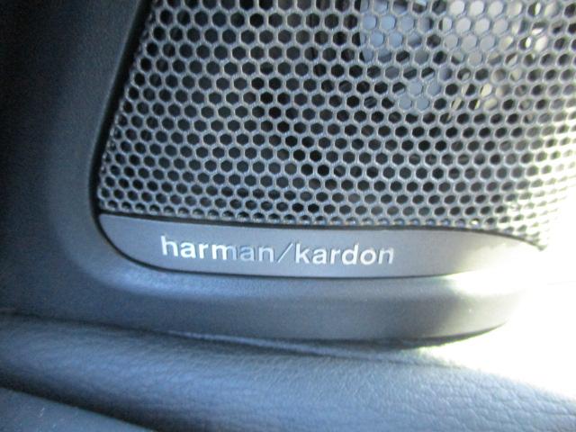 Ｘ６ ｘＤｒｉｖｅ　３５ｉ　Ｍスポーツ　純正ナビ　地デジ　コンフォートシート　禁煙車　ガラスサンルーフ　ｈａｒｍａｎ／Ｋａｒｄｏｎ　ソフトクローズドア　アクティブクルーズコントロール　ヘッドアップディスプレイ　純正２０インチアロイホイール（41枚目）