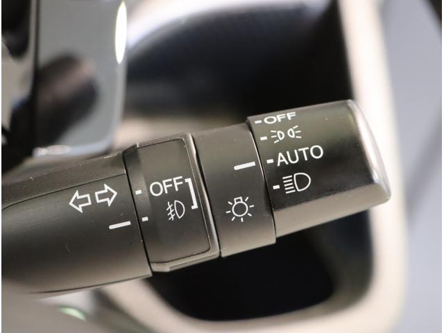 Ｎ－ＷＧＮカスタム ＧＳＳパッケージＩＩ（33枚目）