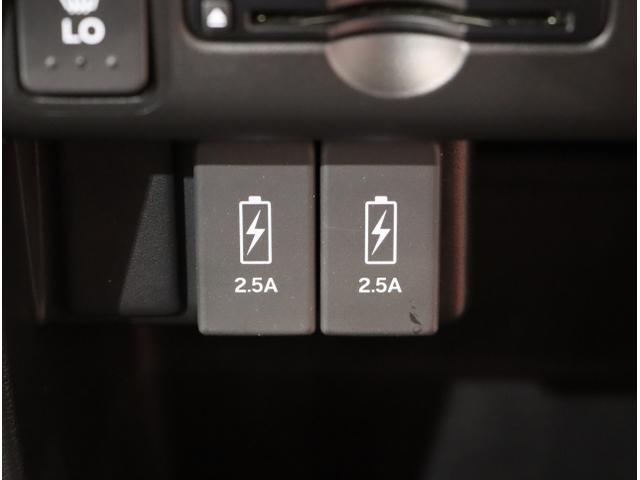 Ｎ－ＷＧＮカスタム ＧＳＳパッケージＩＩ（36枚目）