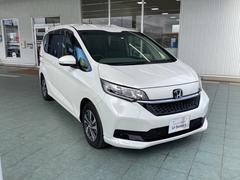 ե꡼ɡܥϥ֥å ϥ֥åɣǡХå˥ե륻ƥӡɥƥ󥨥Хåȥ롼ȥ 0401814A30251101W001 6