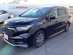 ��ư���ݸ����ʣ��Ƥ��갷�äƤ���ޤ����ޤ��������ͤΤ���˾���ݾڱ�Ĺ��ͭ���������μּ�Ǥϼ�갷���Ǥ��ޤ���ˤ⤴�������Ƥ���ޤ� 7