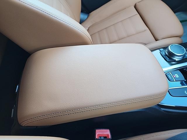 Ｘ３ ｘＤｒｉｖｅ　２０ｄ　Ｘライン　ハイラインパッケージ　ヘッドアップディスプレイ　ワイヤレス充電レザーシート　アクティブクルーズコントロール　ＬＥＤヘッドライト　全周囲カメラ　純正地デジ　電動トランク　コーティング済　純正１９アルミ　走行２２６００キロ（53枚目）