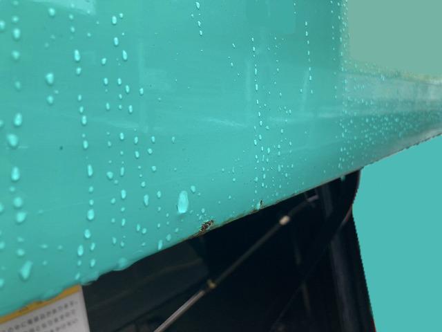 セレガ 日野 中型観光バス 29人(58枚目)