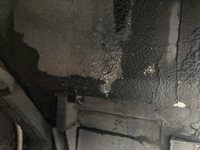 セレガ 日野 中型 観光バス 29人(13枚目)