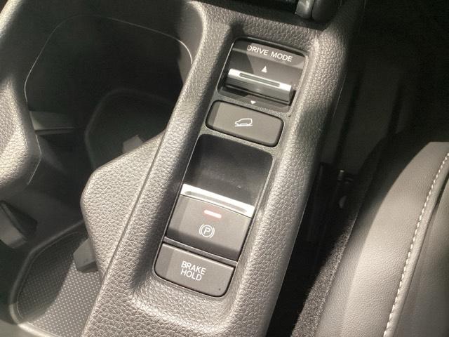 �I�[�g�u���[�L�z�[���h��