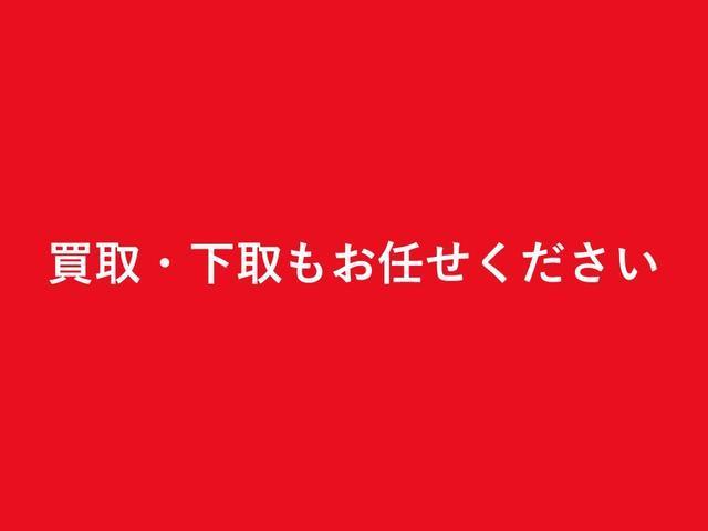 Ｆ　整備記録簿　メモリーナビ　地デジ　ＤＶＤ再生可　Ｂカメラ　ＥＴＣ　ＡＡＣ　Ｗエアバッグ　左パワスラ　ウォークスルー　キーフリー　ＡＢＳ　横滑り防止　パワーステアリング　パワーウインドウ(46枚目)