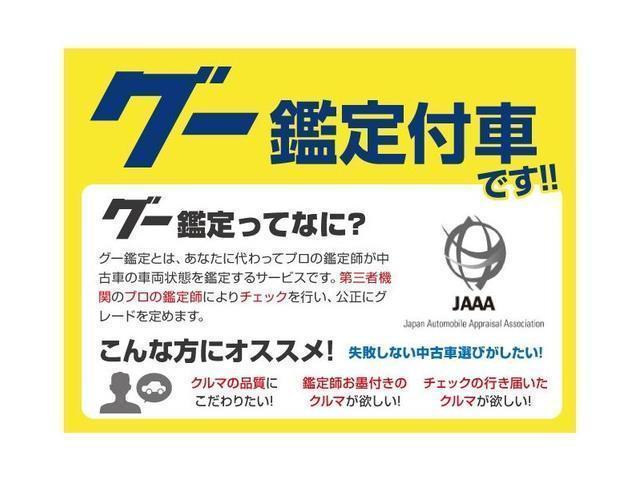 リーフ Ｇ　エアロスタイル　ローダウン・車検７年１２月１９日まで・９セグ・ＮＩＳＭＯスポーツリセッティング・ディーラー整備車両・禁煙車・日産コンピューター診断済・シートヒーター・ハンドルヒーター・ナビ・テレビ・バックモニター・（41枚目）