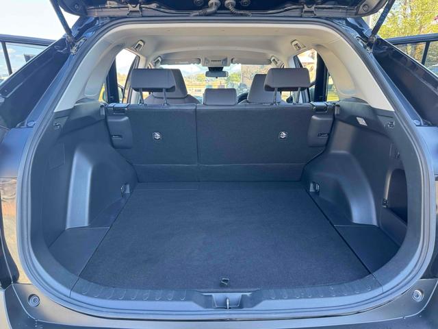 ＲＡＶ４ Ｘ　バックカメラ　オートクルーズコントロール　レーンアシスト　衝突被害軽減システム　ナビ　オートマチックハイビーム　オートライト　ＬＥＤヘッドランプ　スマートキー　電動格納ミラー　ＣＶＴ　盗難防止システム（18枚目）