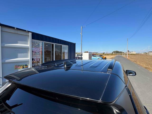 ＲＡＶ４ Ｘ　バックカメラ　オートクルーズコントロール　レーンアシスト　衝突被害軽減システム　ナビ　オートマチックハイビーム　オートライト　ＬＥＤヘッドランプ　スマートキー　電動格納ミラー　ＣＶＴ　盗難防止システム（47枚目）