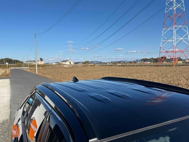 ＲＡＶ４ Ｘ　バックカメラ　オートクルーズコントロール　レーンアシスト　衝突被害軽減システム　ナビ　オートマチックハイビーム　オートライト　ＬＥＤヘッドランプ　スマートキー　電動格納ミラー　ＣＶＴ　盗難防止システム（51枚目）