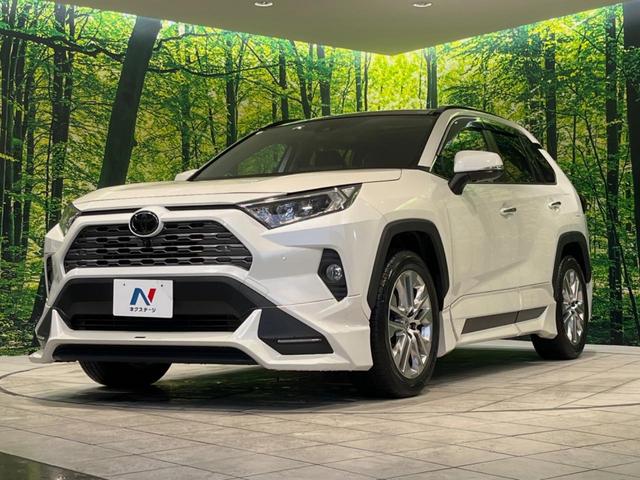 ＲＡＶ４ Ｇ　Ｚパッケージ　４ＷＤ　サンルーフ　ＴＲＤエアロ　純正９型ナビ　全周囲カメラ　寒冷地仕様　衝突被害軽減　レーダークルーズ　禁煙車　電動リアゲート　レザーシート　パワーシート　コーナーセンサー　スマートキー　ＬＥＤ（59枚目）