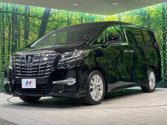 アルファード ２．５Ｓ　純正９型ＳＤナビ　後席モニター　両側電動ドア　クリアランスソナー　バックカメラ　禁煙車　スマートキー　ＬＥＤヘッド　ビルトインＥＴＣ　純正１８インチアルミ　オートライト（46枚目）