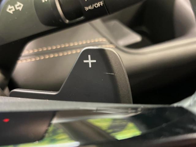 セレナ ハイウェイスターＶ　メーカー１２．３型ナビ　全周囲カメラ　後席モニター　両側電動ドア　衝突被害軽減システム　レーダークルーズ　禁煙車　ハーフレザーシート　コーナーセンサー　スマートキー　ＬＥＤヘッド　ＥＴＣ２．０（33枚目）