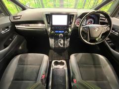 ���롼�����߸˿��󣳣����������桪������η���Ź����᡼�������ּ���鷺���Ҳ�����Τǡ����ʤ��˥ԥå���Τ��֤����Ĥ���Ϥ��Ǥ����ޤ��Ϥ��䤤��碌�������� 2