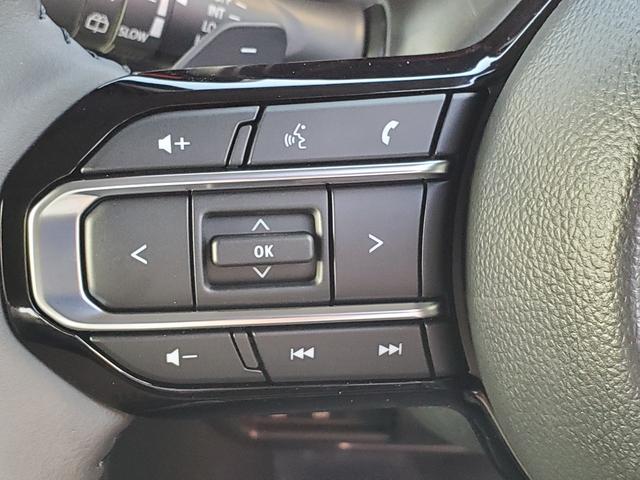 スペーシアカスタム ハイブリッドＸＳターボ　両側電動スライドドア　クリアランスソナー　オートクルーズコントロール　レーンアシスト　衝突被害軽減システム　オートライト　ＬＥＤヘッドランプ　スマートキー　アイドリングストップ　電動格納ミラー（43枚目）