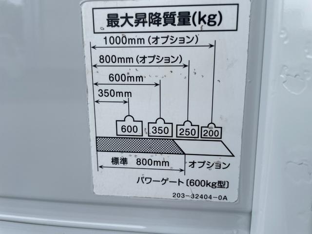 ターボ　３ｔ積　新明和製パワーゲート（ＲＡ０６－１１７３）８３０－１４２０　６００ｋｇ型　３方開　リヤＷタイヤ　左電動格納ミラー　荷台内寸３０３０－１５９０－３８０　高増加工９８０　ライトレベライザー(12枚目)