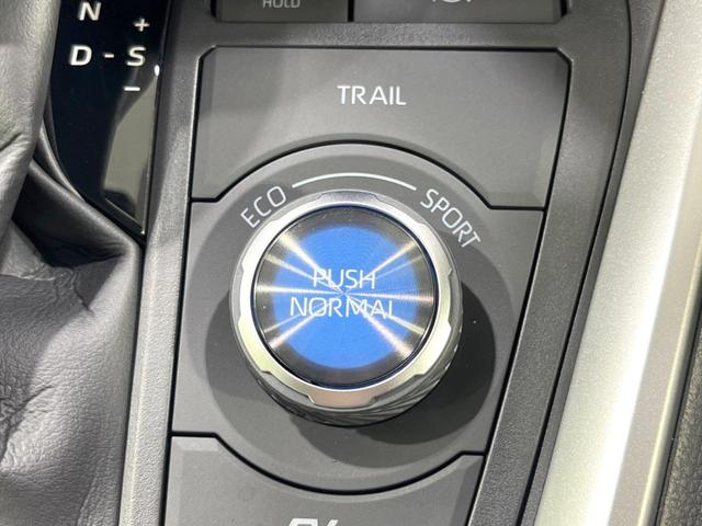 RAV4 ハイブリッドアドベンチャー 4WD サンルーフ 全周囲カメラ 衝突被害軽減システム レーダークルーズ 禁煙車 電動リアゲート レザーシート シートヒーター 前席シートエアコン パワーシート ドラレコ コーナーセンサー(76枚目)