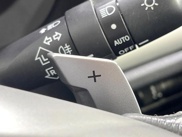 フォレスター 2.0i-L アイサイト 4WD 純正SDナビ バックカメラ 衝突被害軽減システム レーダークルーズ 禁煙車 電動リアゲート ドラレコ スマートキー ETC 前席シートヒーター 車線逸脱警報 オートライト デュアルエアコン(42枚目)