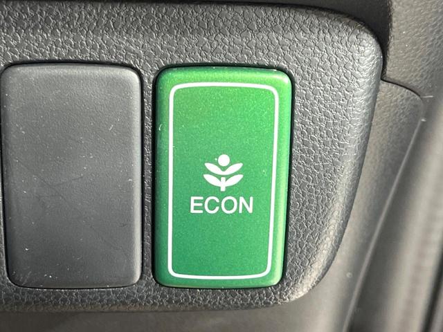 フィット Ｇ・１０ｔｈアニバーサリーＩＩ　バックカメラ　禁煙車　ＨＩＤヘッドライト　ビルトインＥＴＣ　オートライト　ＣＤ再生　プライバシーガラス　アイドリングストップ（49枚目）