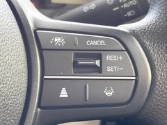 �ڥ����ץƥ��֥��롼������ȥ�����۹�®ƻϩ�Ǥ�Ĺ��Υ���Ԥ��ڤˡ�����ư��®�٤��ݤĥ��롼������ȥ����뤬�����ͷڸ������ƥ��Ϣ�Ȥ��������μ�ξ���Τ��Ƽִ֤��ݤĤ褦��®��Ĵ�ᤷ�Ƥ���ޤ����� 3