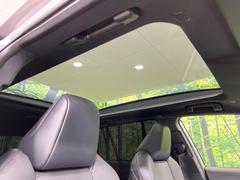 ڥѥΥޥ롼ա緿Υ饹롼ܤǼβ쵤˥åסŪʥɥ饤֤򤪳ڤߤޤ 3