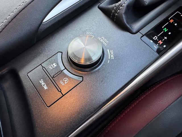 ＩＳ ＩＳ２００ｔ　中期型　ハーフレザーシート　レーンアシスト　レーダークルーズコントロール　バックカメラ　ナビ　ＴＶ　アルミホイール　オートライト　ＬＥＤヘッドランプ　ＡＴ　スマートキー　電動格納ミラー（41枚目）