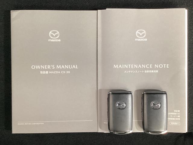ＣＸ－３０ ２．０　２０Ｓ　プロアクティブ　ツーリングセレクション　Ｂｌｕｅｔｏｏｔｈオーディオ　電動テールゲート　衝突軽減装置　前席シートヒーター　ミュージックプレイヤー接続可　オートエアコン　地デジ　１オーナー　ナビ＆ＴＶ　Ｐシート　キーレス　パーキングセンサー（29枚目）