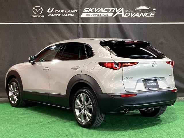 ＣＸ－３０ ２．０　２０Ｓ　プロアクティブ　ツーリングセレクション　Ｂｌｕｅｔｏｏｔｈオーディオ　電動テールゲート　衝突軽減装置　前席シートヒーター　ミュージックプレイヤー接続可　オートエアコン　地デジ　１オーナー　ナビ＆ＴＶ　Ｐシート　キーレス　パーキングセンサー（37枚目）