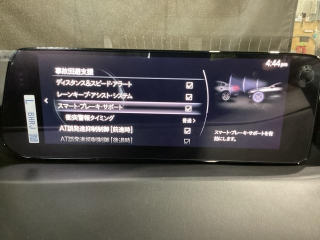 �Ԃ��Q�������łȂ��l�⎩�]�Ԃ����m���A�u���[�L���������䂵�ďՓˉ�����T�|�[�g���Ă����r�a�r�i�X�}�[�g�u���[�L�T�|�[�g�j�𑕔��I