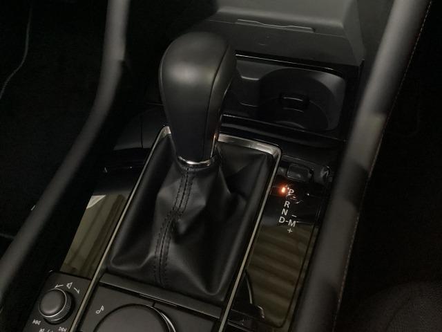 �A�N�Z���y�_���𓥂ݍ��ޗʂ⑬���ɉ����ĕϑ��p�^�[�����œK���䂵�A�l�n��̂̉^�]���o�𔭊����Ă����U���I�[�g�}�I