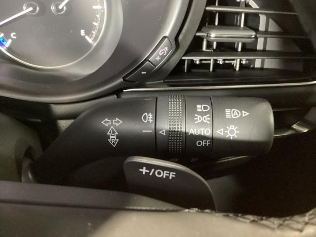 �[��ꎞ��A�������g���l���ȂǁA�w�b�h���C�g�_�E�����̔ς킵������J�����Ă����I�[�g���C�g����������Ă��܂��B