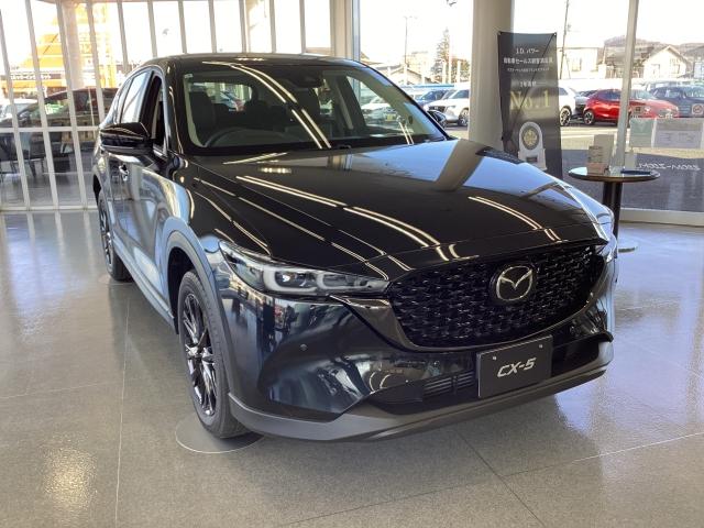 ＣＸ－５ ２．２　ＸＤ　ブラック　セレクション　ディーゼルターボ　ＸＤ　ＢＬＡＣＫ　Ｓ　ＬＥＤヘッド　パワーシート　スマートキー　ＡＣＣ　シートヒーター　フルセグＴＶ　オートライト　キーフリー　Ｂｌｕｅｔｏｏｔｈ　アラウンドビュー　オートハイビーム　コーナーセンサー（16枚目）