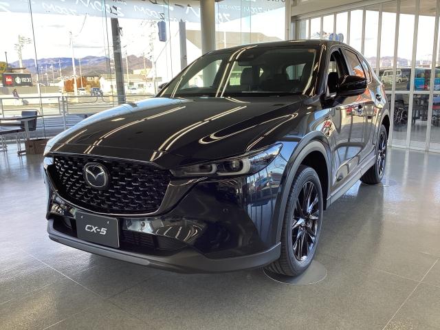 ＣＸ－５ ２．２　ＸＤ　ブラック　セレクション　ディーゼルターボ　ＸＤ　ＢＬＡＣＫ　Ｓ　ＬＥＤヘッド　パワーシート　スマートキー　ＡＣＣ　シートヒーター　フルセグＴＶ　オートライト　キーフリー　Ｂｌｕｅｔｏｏｔｈ　アラウンドビュー　オートハイビーム　コーナーセンサー（17枚目）