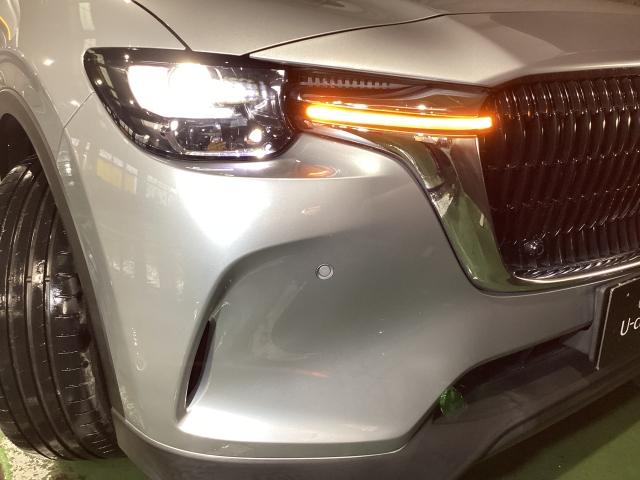 ＣＸ－６０ ２．５　２５Ｓ　Ｌパッケージ　シートヒータ　車線逸脱警告　革Ｓ　衝突被害軽減ブレーキ　Ｐシート　オートマチックハイビーム　メモリーナビ　Ｂｌｕｅｔｏｏｔｈ　スマートキー　オートライト　オートエアコン　キ－レス　１オーナー　ＥＴＣ（34枚目）