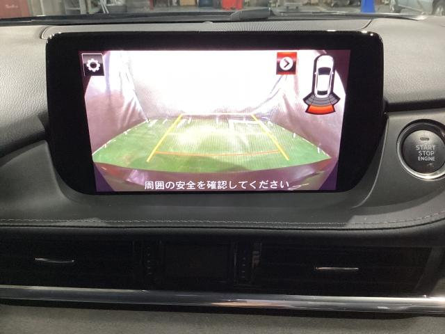 ���ꂵ���o�b�N���j�^�[�t�I��ގ��̕s�����ɂ��X�g���X����J�����Ă���܂��B